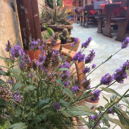 Guest House Gergana Primorsko Exterior photo